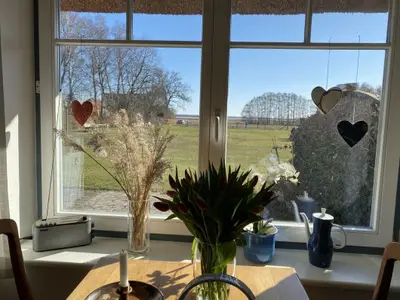 Ferienwohnung für 3 Personen (45 m²) in Born am Darß 7/10