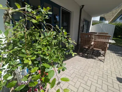 Ferienwohnung für 2 Personen (56 m²) in Born am Darß 7/10