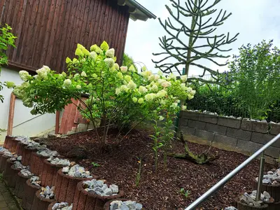 Garten mit liebevoll gepflegten Pflanzen