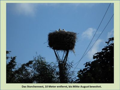 Ferienwohnung für 3 Personen (45 m²) in Borrentin 6/10