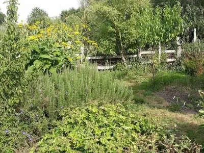 Ferienwohnung für 6 Personen (90 m²) in Borrentin 3/10