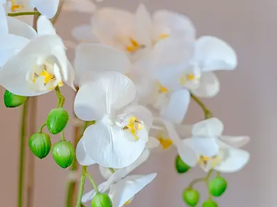 Ferienwohnung für 6 Personen (115 m²) in Bosau 10/10