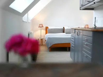 Ferienwohnung für 1 Person (30 m²) in Bovenau 7/8