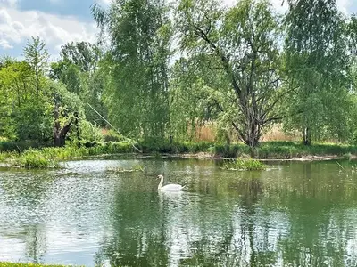 Ferienwohnung für 2 Personen (50 m²) in Boxberg/Oberlausitz 7/10