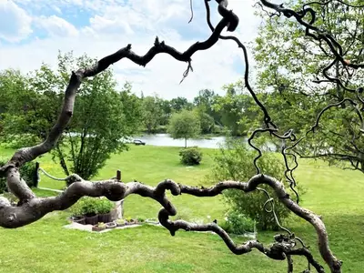 Ferienwohnung für 2 Personen (50 m²) in Boxberg/Oberlausitz 8/10