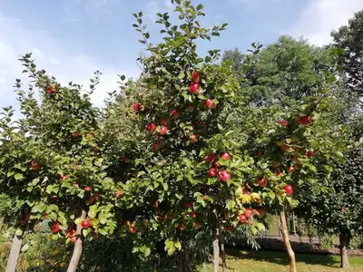 Ferienwohnung für 2 Personen (57 m²) in Boxberg/Oberlausitz 3/10