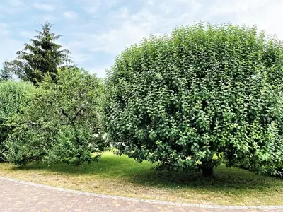Ferienwohnung für 6 Personen (60 m²) in Boxberg/Oberlausitz 5/10