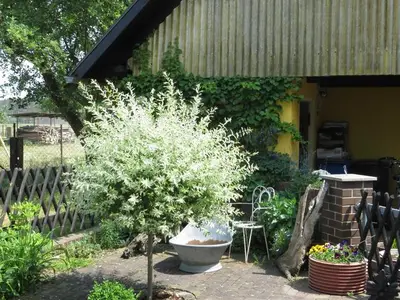 Ferienwohnung für 6 Personen (60 m²) in Boxberg/Oberlausitz 5/10