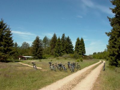 Grenzroute-Frøslev Plantage-Gorm Casper