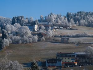 19196983-Ferienwohnung-2-Brackenheim-300x225-4