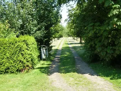 Ferienwohnung für 5 Personen (80 m²) in Braderup 6/10