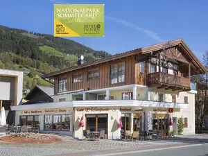 Ferienwohnung für 4 Personen (50 m²) in Bramberg am Wildkogel