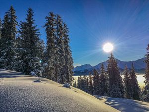 23895227-Ferienwohnung-7-Bramberg am Wildkogel-300x225-4