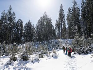 Ferienwohnung für 4 Personen (52 m²) in Bramberg am Wildkogel