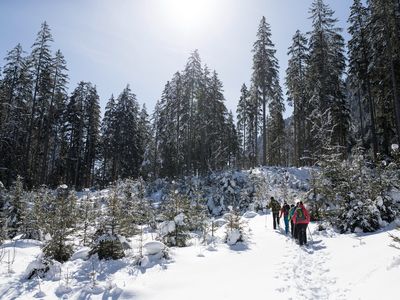 Ferienwohnung für 4 Personen (52 m²) in Bramberg am Wildkogel 1/10