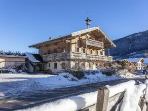 Ferienwohnung für 4 Personen (40 m²) in Bramberg am Wildkogel
