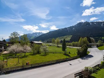 ViewSummer