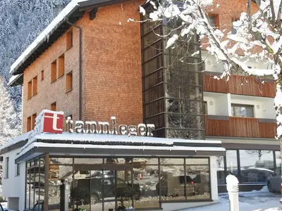 Ferienwohnung für 3 Personen (30 m²) in Brand 4/10