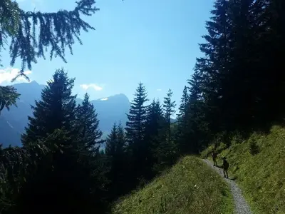 Wandern