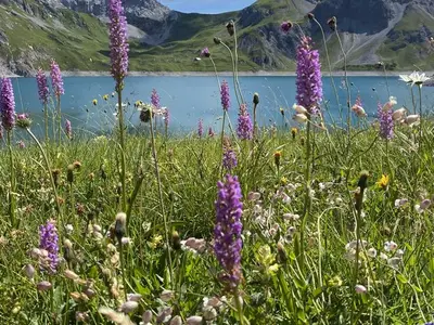 Ferienwohnung für 5 Personen (80 m²) in Brand 4/10