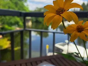 Ferienwohnung für 4 Personen (51 m²) in Brandenburg an der Havel