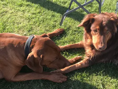 Ferienwohnung für 6 Personen (100 m²) in Brandenburg an der Havel 1/10