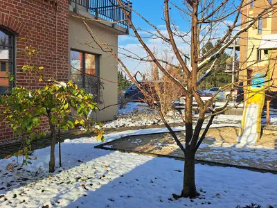 Ferienwohnung für 4 Personen (55 m²) in Brandenburg an der Havel 2/10