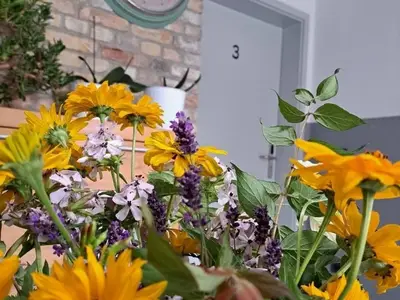 Ferienwohnung für 4 Personen (45 m²) in Brandenburg an der Havel 7/8