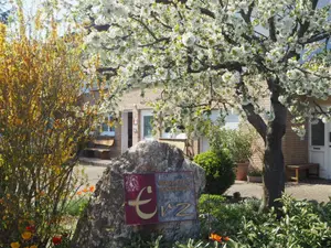 Ferienwohnung für 3 Personen (27 m²) in Brauneberg