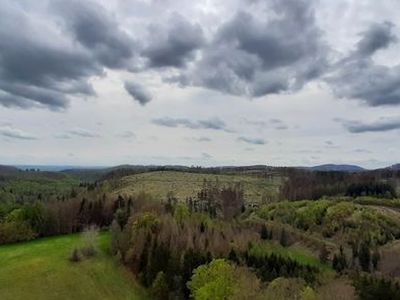 Ferienwohnung für 4 Personen (50 m²) in Braunlage 4/10