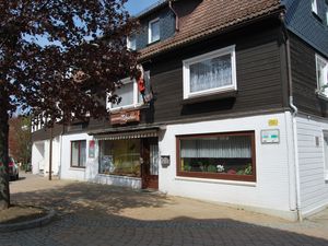 19166756-Ferienwohnung-6-Braunlage-300x225-0