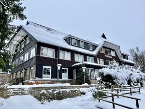 Ferienwohnung für 3 Personen (35 m²) in Braunlage