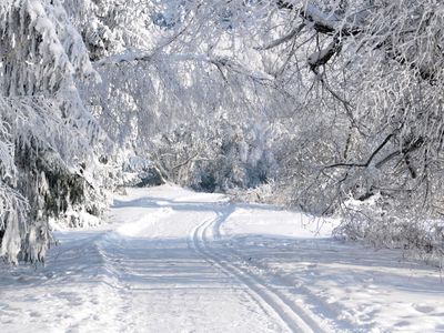 Winterspaziergänge ab Haustür, hier Hohegeiß-Sorge