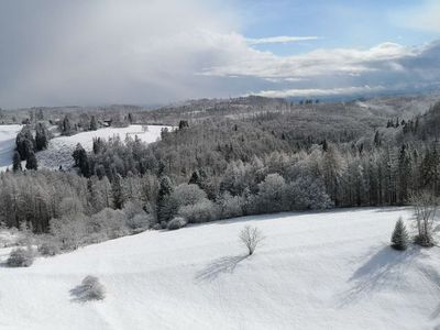 Ferienwohnung für 4 Personen (50 m²) in Braunlage 4/10