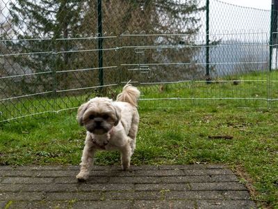 Ferienwohnung für 2 Personen (40 m²) in Braunlage 5/10