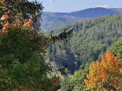 Ferienwohnung für 2 Personen (40 m²) in Braunlage 6/10