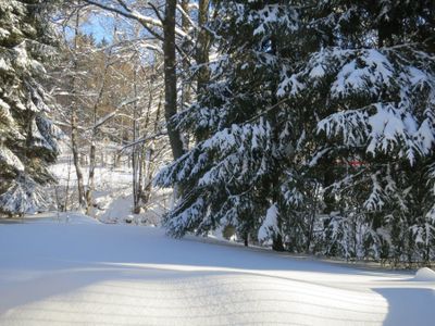 Ferienwohnung für 4 Personen (54 m²) in Braunlage 8/10