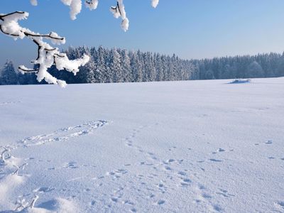 Winterlandschaft am Ortsrand, ca 10 Gehmin.