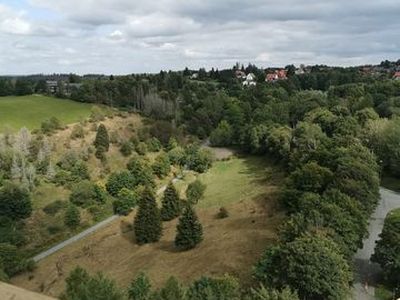 Ferienwohnung für 4 Personen (49 m²) in Braunlage 2/10