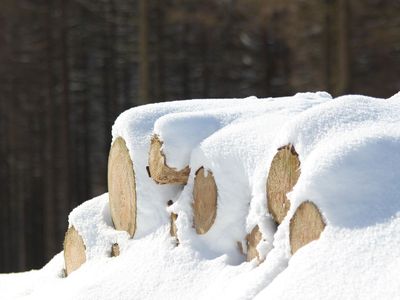 Ferienwohnung für 4 Personen (50 m²) in Braunlage 9/10