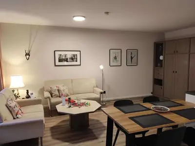 Ferienwohnung für 4 Personen (50 m²) in Braunlage 8/10