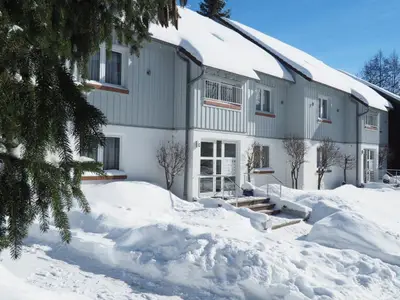 Ferienwohnung für 4 Personen (54 m²) in Braunlage 9/10