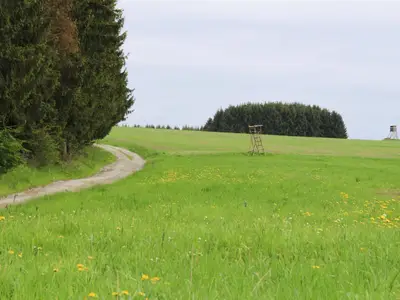 GardenSummer