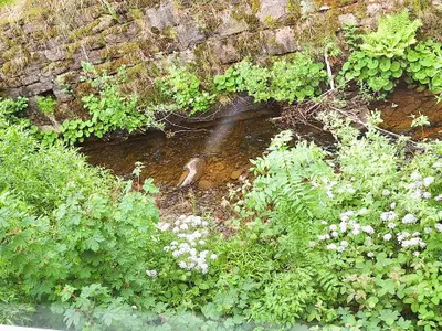 Blick auf Bach