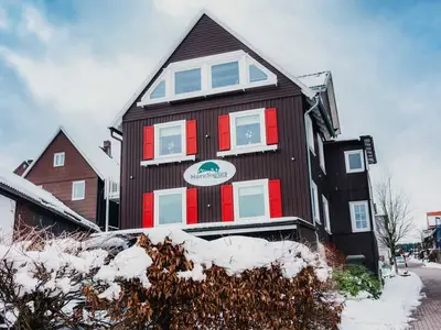Ferienwohnung für 5 Personen (75 m²) in Braunlage 1/10