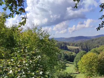 Ferienwohnung für 2 Personen (40 m²) in Braunlage 2/10