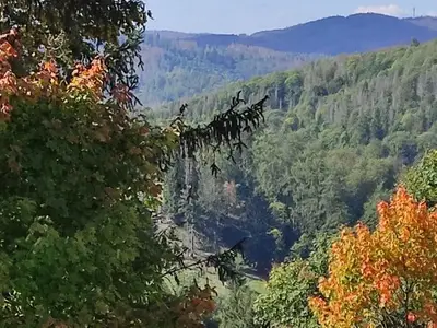 Ferienwohnung für 2 Personen (40 m²) in Braunlage 6/10