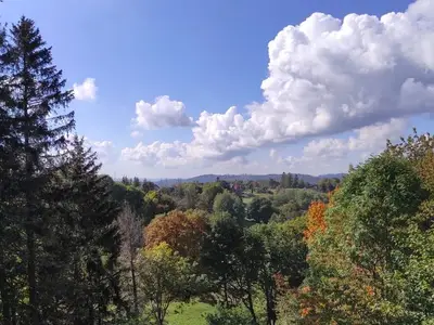 Ferienwohnung für 2 Personen (40 m²) in Braunlage 8/10