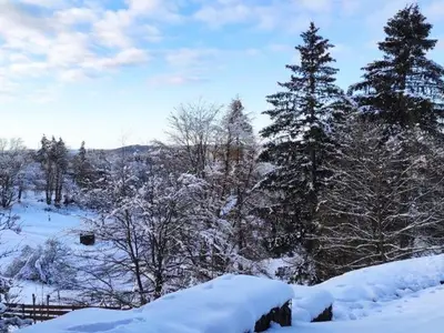Ferienwohnung für 2 Personen (40 m²) in Braunlage 10/10