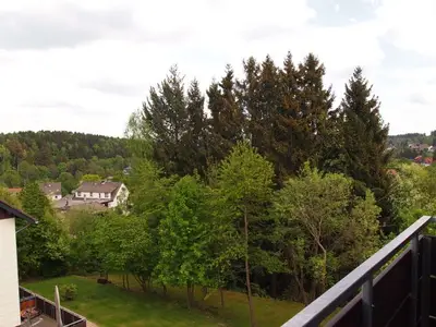 Ferienwohnung für 4 Personen (41 m²) in Braunlage 1/10